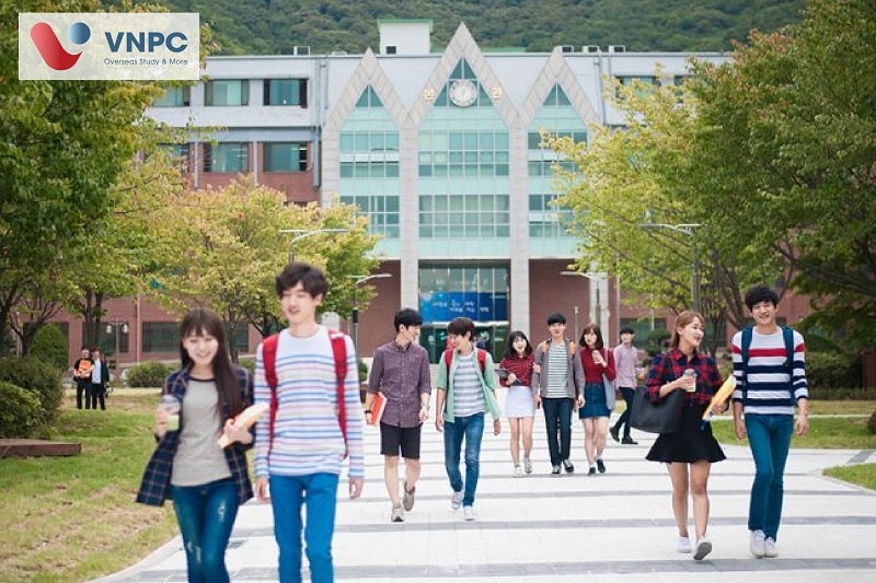 KING88 là nhà cái giải trí đỉnh cao Hàn Quốc vừa học vừa làm